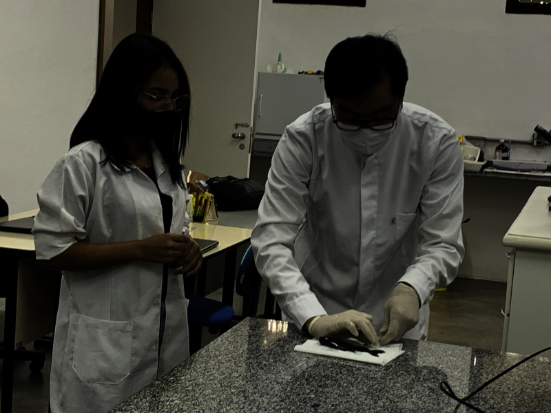 UNL Pesquisa Tambaqui (1)(1)