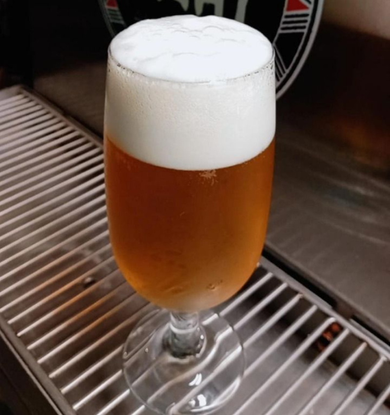 WhatsApp Image 2022-06-10 at 11.24.44