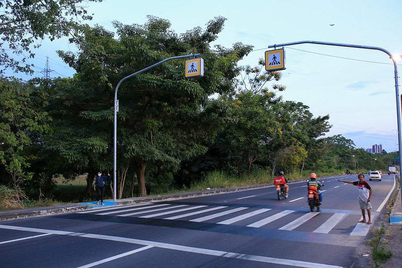 52227172382_48bdcdc939_c