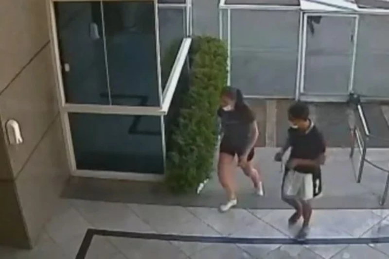 Criminosos-furto-600x400