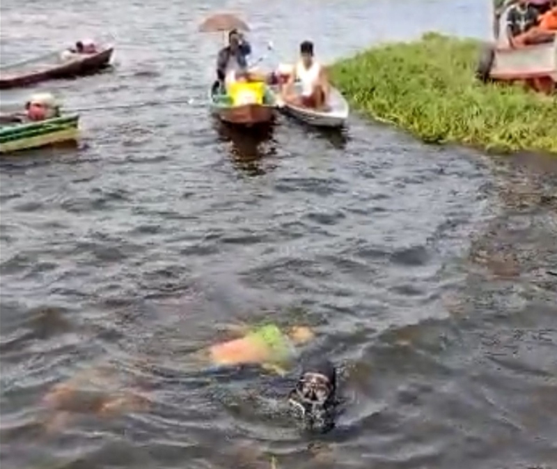 Imagem_ Reprodução