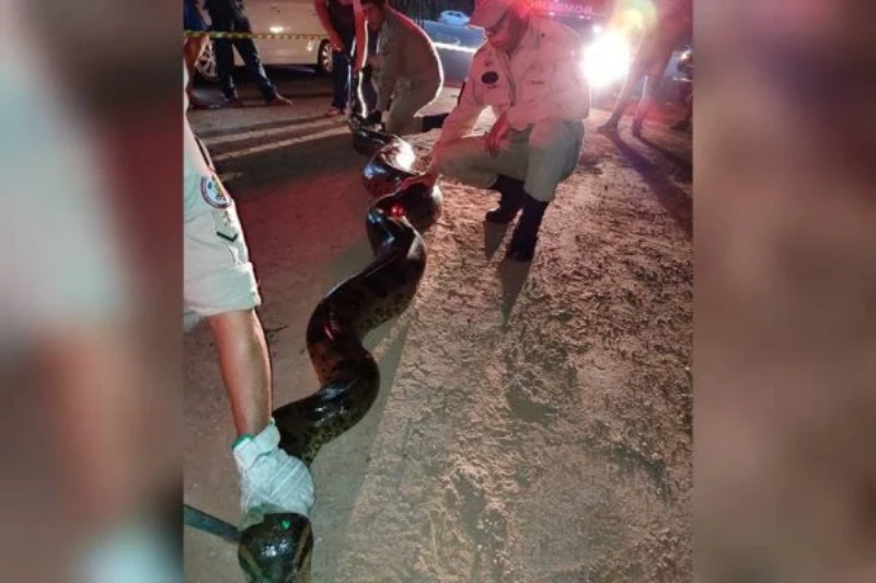 WhatsApp-Image-2022-07-02-at-16