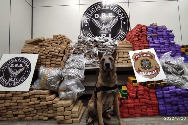Foto-cachorro-farejador-policia-600x400