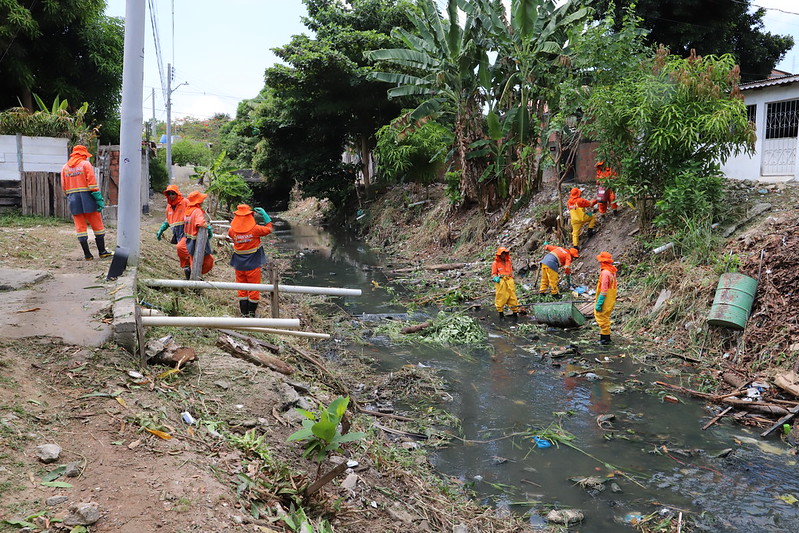 52343929094_e747b55bac_c