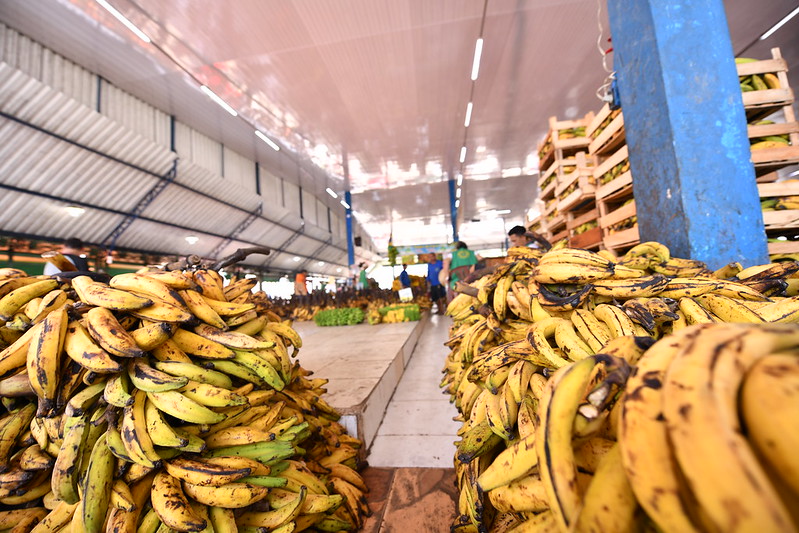 52392109762_f7e6720a06_c