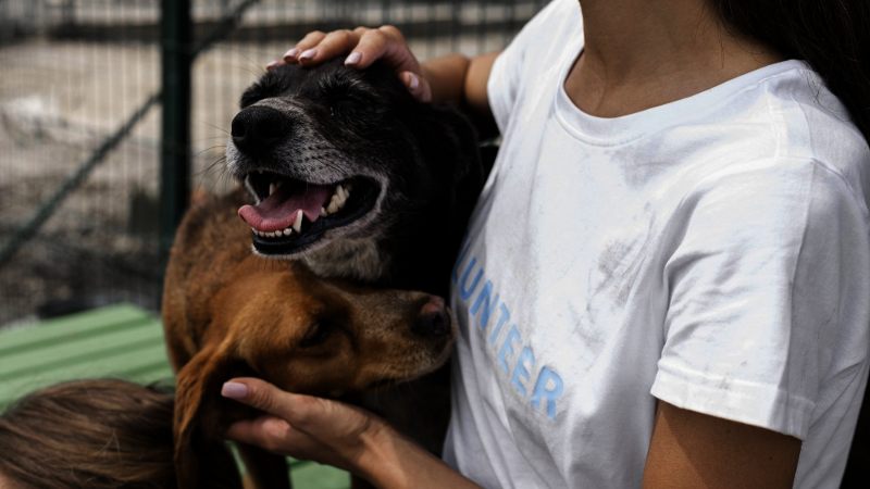 Créditos - Freepik (2)(1)