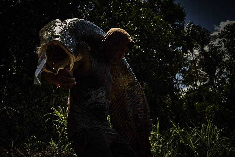 FAS - Manejo do Pirarucu (Boa Vista do Calafate) (16.10.2021) CamA - RDF_6427 (72DPI)(1)