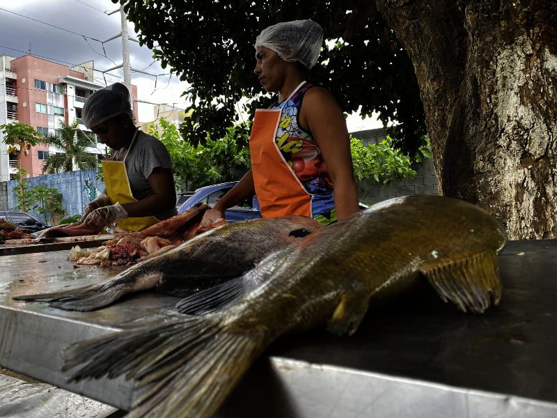 Feira Tambaqui 2022 _ Júlia de Freitas (5)