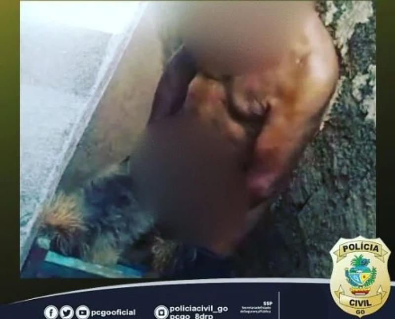 Idoso de 85 anos foi preso em flagrante pelo crime de zoofilia