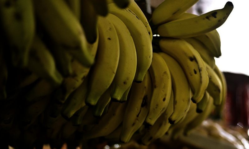 banana-agenciabrasil_5(1)