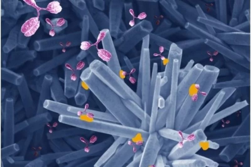 Novo-metodo-detecta-anticorpos-para-COVID-19-e-resultado-sai-em-cinco-minutos-600x400(1)