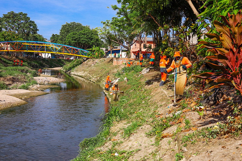 52541363767_d7ba4d1242_c