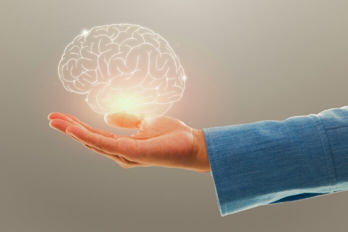 Como-manter-cerebro-saudavel-qualquer-idade-forca-de-vendas-catalogo-digital-blumenau-2