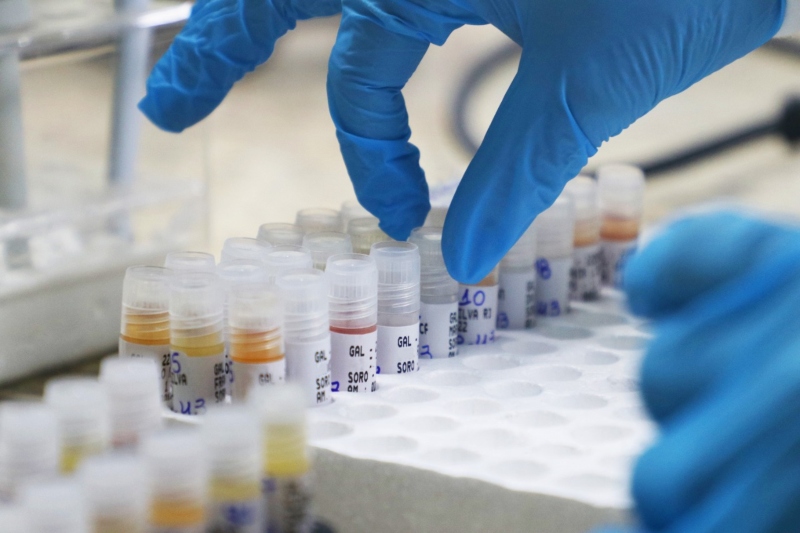 WhatsApp Image 2022-12-04 at 16.10.42