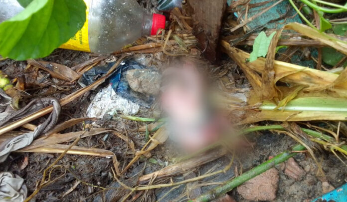 WhatsApp Image 2022-12-28 at 13.51.00