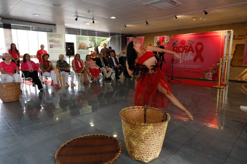 01-Comissão-da-Mulher-Família-e-Idoso-da-Assembleia-atuou-fortemente-na-realização-de-eventos-e-campanhas-em-2022