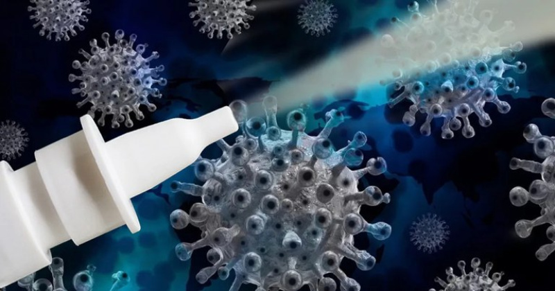 4f8e9559-32da-4f52-8d1b-4a8b6d2ee641