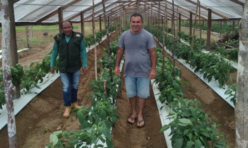 WhatsApp-Image-2023-01-16-at-09.02.38-768x1024