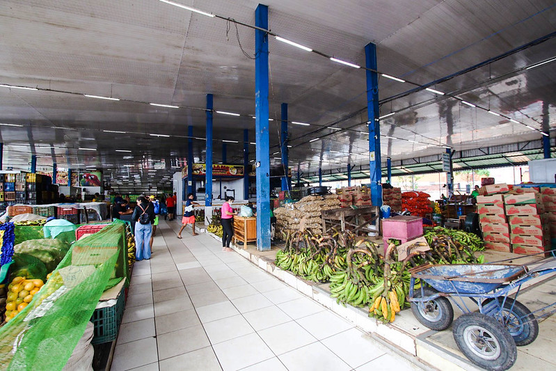 52689588518_f30ff72a6d_c