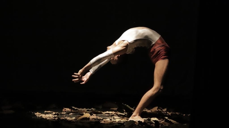 Jean Winder - Espetáculo circense (1)