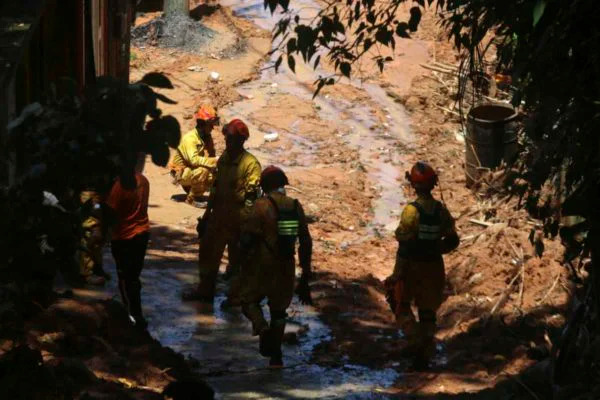 WhatsApp Image 2023-02-22 at 07.41.07