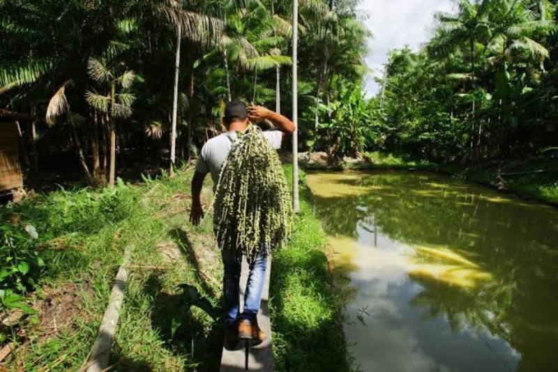 WhatsApp Image 2023-03-29 at 10.31.52