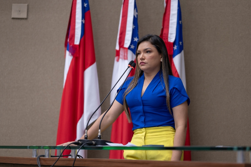 Joana Darc propõe pacote de medidas para reforçar a segurança das escolas do Amazonas (1)