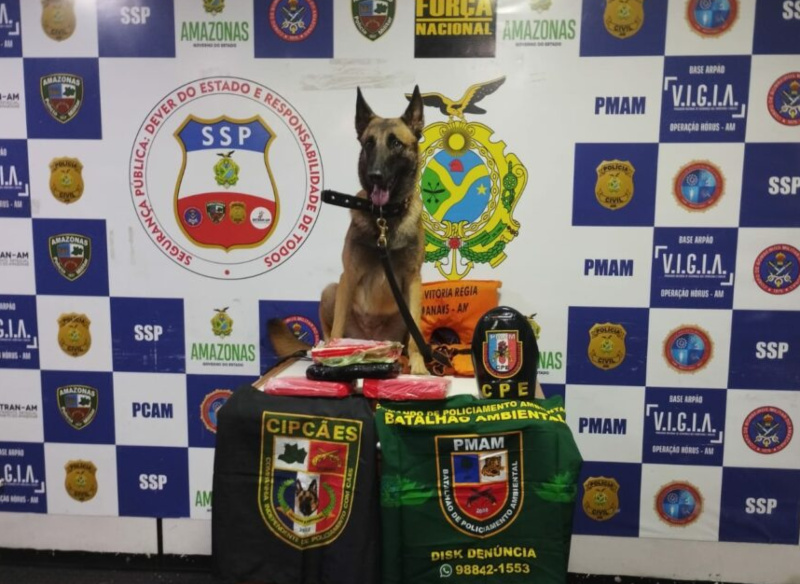 SSP_AM_MATERIAL_APREENDIDO_FOTOS_DIVULGACAO_SSP_AM_-1-1024x771