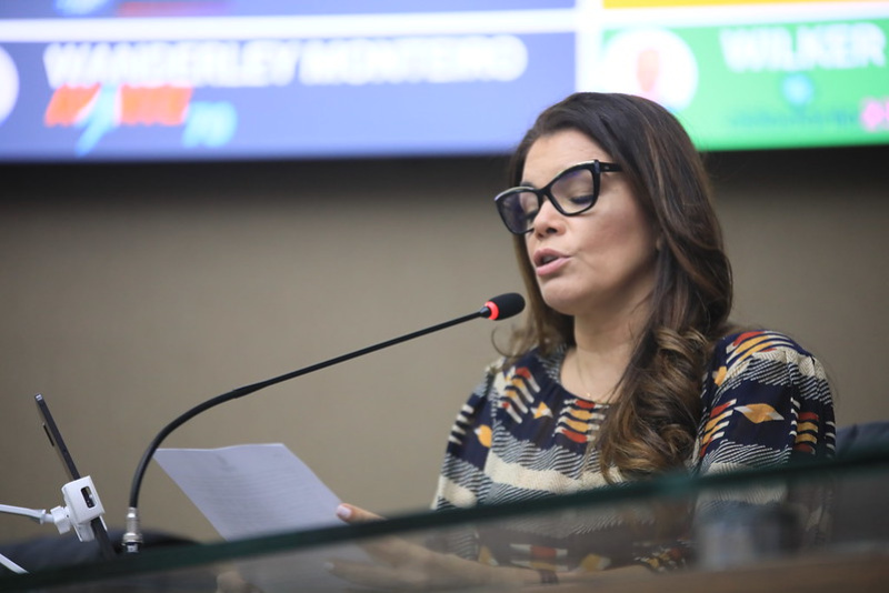 06-Dep.-Alessandra-Campelo-Comitê-de-Enfrentamento-à-Violência-Obstétrica-realiza-Ação-de-Saúde-no-Largo-São-Sebastião(1)