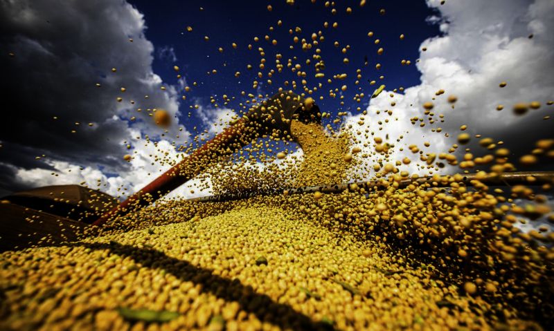 50926862498_639e8931b8_o_0(3)