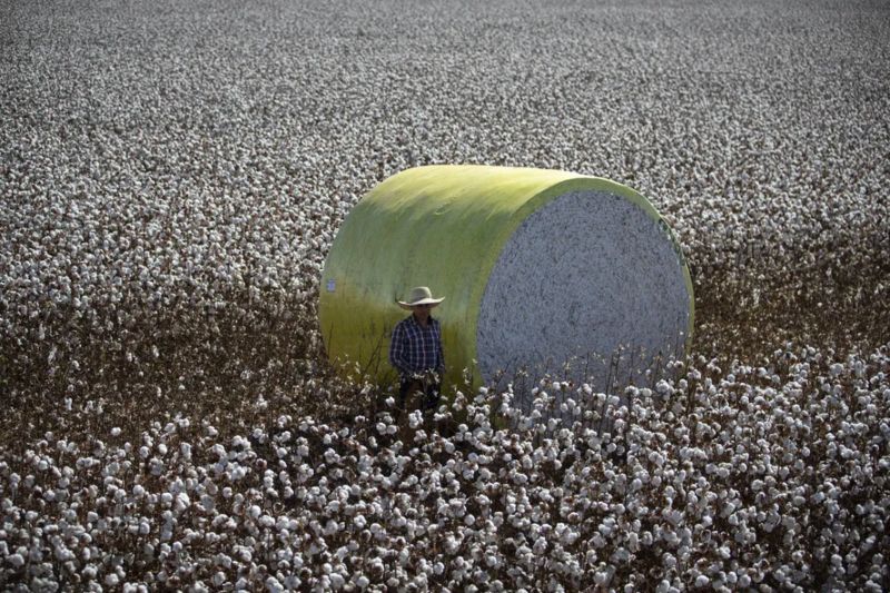 99736094-politica-primavera-do-oeste-mt-01-07-2022-especial-eleicoes-fora-da-bolha-os-grupos(1)