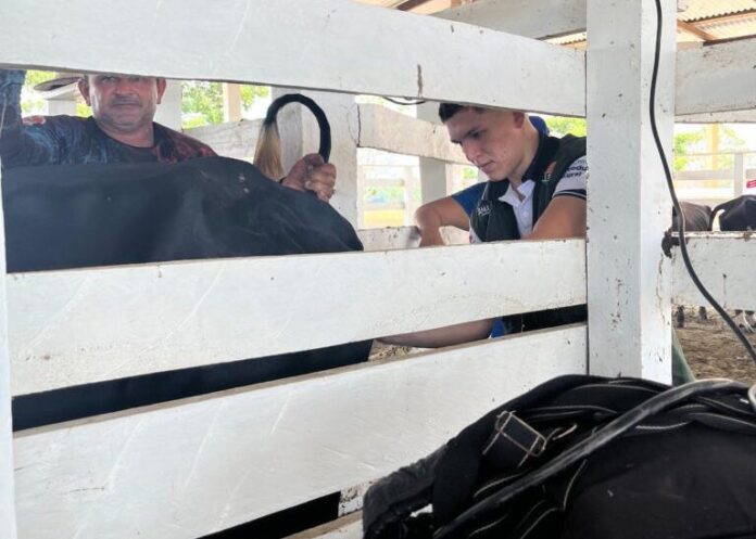 Idam_Idam-realiza-etapa-do-programa-Pecuaria-Brasil_Foto-Divulgacao-Idam-1-768x1024