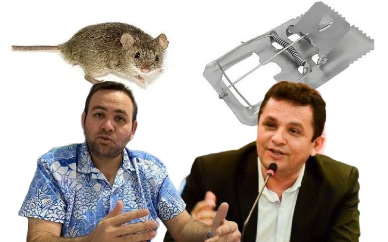 WhatsApp Image 2023-12-18 at 11.49.01