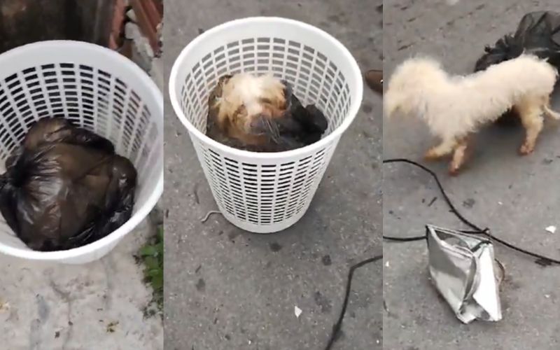 WhatsApp Image 2024-02-08 at 11.34.23