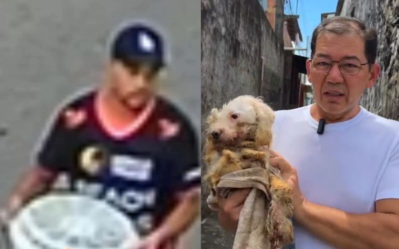 WhatsApp Image 2024-02-08 at 17.24.11