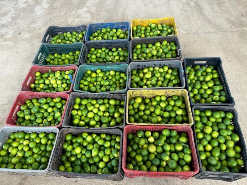 ADS-Governo-do-Estado-assegura-emprego-e-renda-a-comunidade-rural-de-Iranduba-por-meio-do-programa-B_1-1024x768 (1)