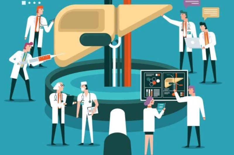 analise-figado-metabolismo-600x400-2