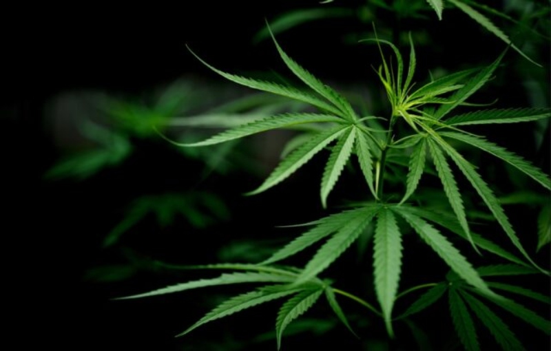 befunky_2024-5-2_14-45-48