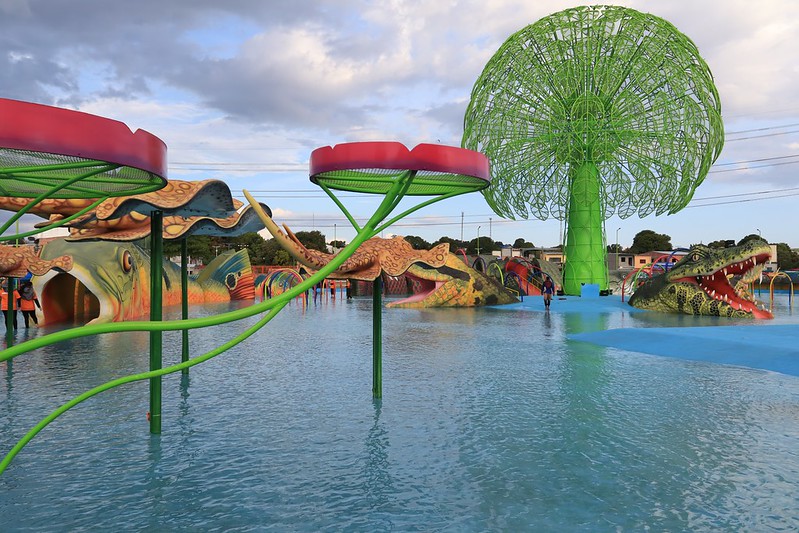 53835899329_0d725ecb29_c