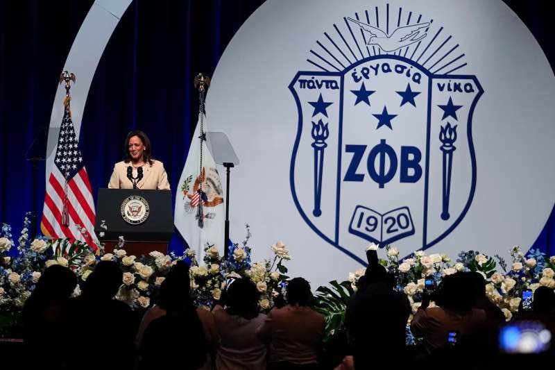 WhatsApp Image 2024-07-25 at 09.55.01