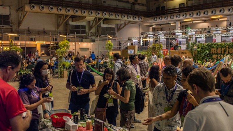 20221130-FIINSA-TARDE@RODRIGODUARTE-49(1)