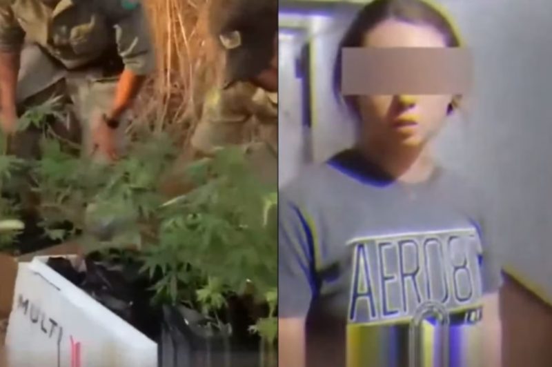 Captura de tela 2024-08-23 123006