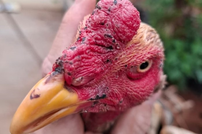 WhatsApp Image 2024-09-28 at 19.44.54