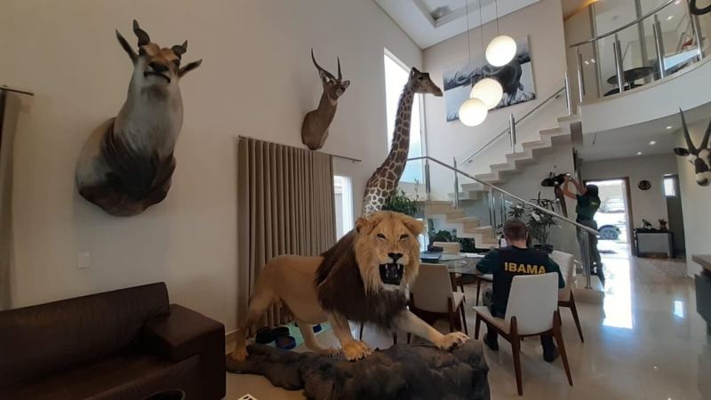 Zoologico-macabro-Capa(1)