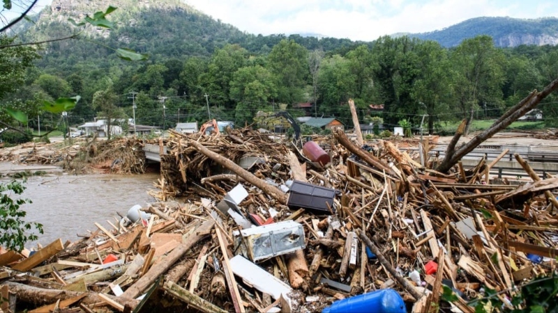 befunky_2024-8-1_7-50-27