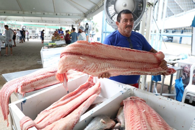 ADS-Governo-do-Amazonas-comercializara-mais-de-100-toneladas-de-peixes-na-primeira-edicao-especial-do-Feirao-do-Pescado-em-Manaus-Foto-Ruth-Juca-2-2-1024x682