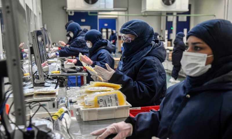 WhatsApp Image 2024-11-22 at 09.50.53