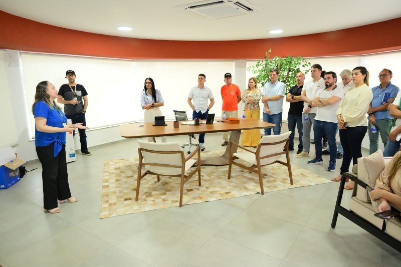 resultado do 2º Levantamento de Índice Rápido para Aedes aegypti (LIRAa) de 2024