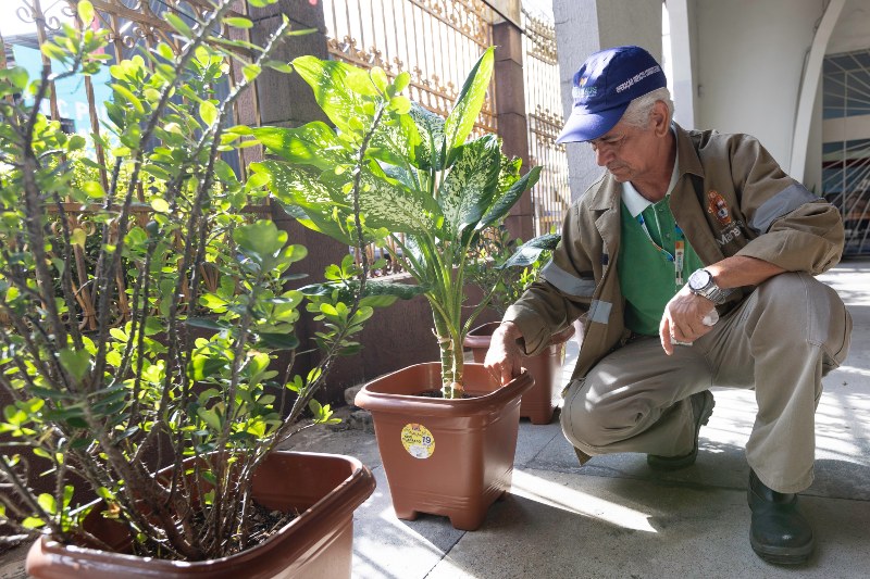 Janeiro 13_Informe Arboviroses (1)(1)