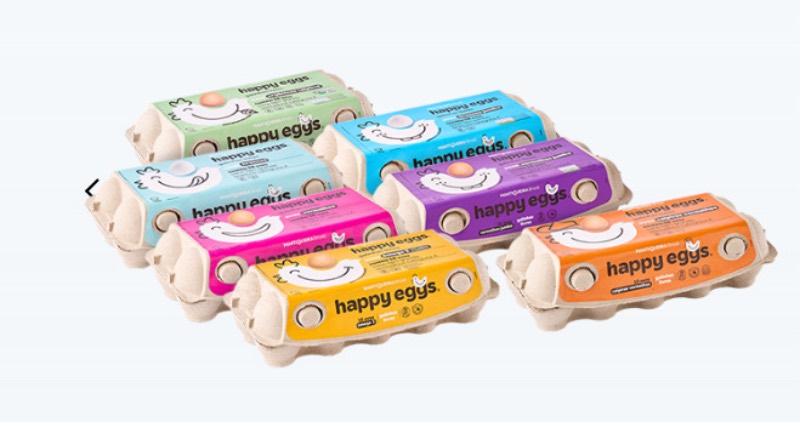 WhatsApp Image 2025-01-27 at 16.58.32-2